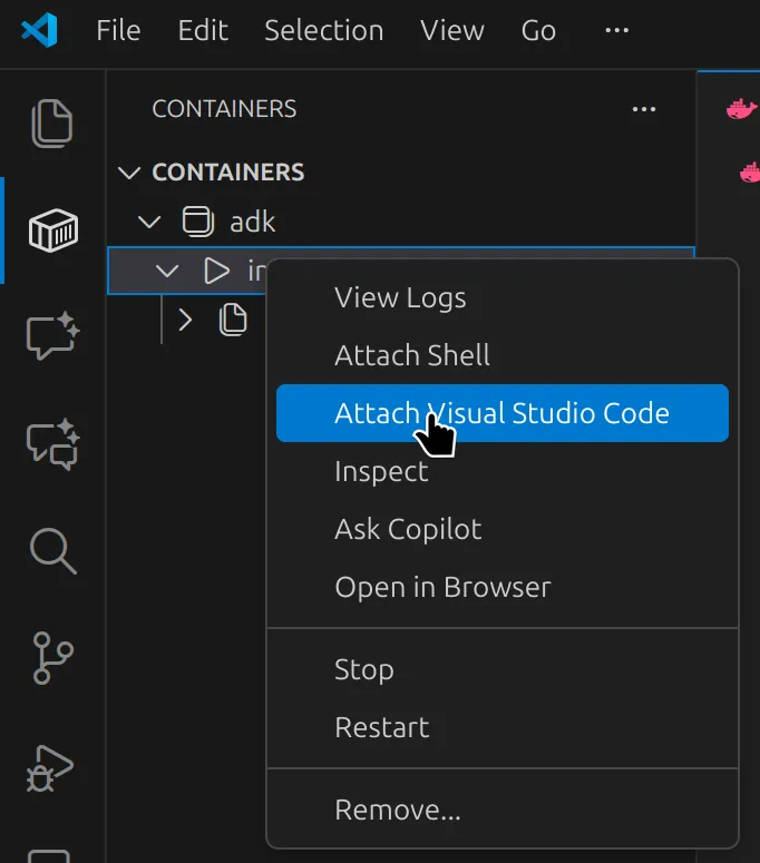 adk in vscode